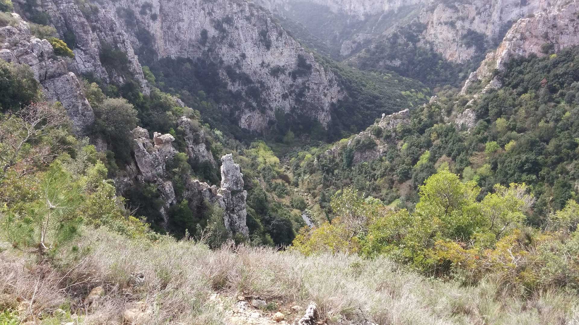 Parco_naturale_regionale_Terra_delle_Gravine Torre-dell-orso